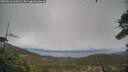 ./images/calvert/fitz-hugh-hecate/20260318/fitz-hugh-hecate20260318_162502M.jpg