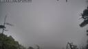 ./images/calvert/fitz-hugh-hecate/20260318/fitz-hugh-hecate20260318_184001M.jpg