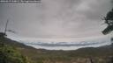 ./images/calvert/fitz-hugh-hecate/20260319/fitz-hugh-hecate20260319_110001M.jpg