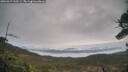 ./images/calvert/fitz-hugh-hecate/20260319/fitz-hugh-hecate20260319_110501M.jpg