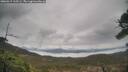 ./images/calvert/fitz-hugh-hecate/20260319/fitz-hugh-hecate20260319_115501M.jpg