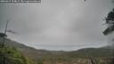 ./images/calvert/fitz-hugh-hecate/20260319/fitz-hugh-hecate20260319_124002M.jpg