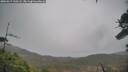 ./images/calvert/fitz-hugh-hecate/20260319/fitz-hugh-hecate20260319_130501M.jpg
