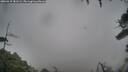./images/calvert/fitz-hugh-hecate/20260319/fitz-hugh-hecate20260319_181501M.jpg