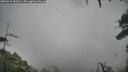 ./images/calvert/fitz-hugh-hecate/20260319/fitz-hugh-hecate20260319_182002M.jpg