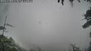 ./images/calvert/fitz-hugh-hecate/20260319/fitz-hugh-hecate20260319_182501M.jpg