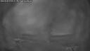 ./images/calvert/fitz-hugh-hecate/20260320/fitz-hugh-hecate20260320_070501M.jpg