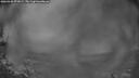 ./images/calvert/fitz-hugh-hecate/20260320/fitz-hugh-hecate20260320_071001M.jpg