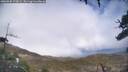 ./images/calvert/fitz-hugh-hecate/20260320/fitz-hugh-hecate20260320_170002M.jpg