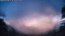 ./images/calvert/fitz-hugh-hecate/20260321/fitz-hugh-hecate20260321_070502M.jpg