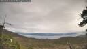 ./images/calvert/fitz-hugh-hecate/20260321/fitz-hugh-hecate20260321_113501M.jpg