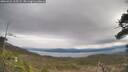 ./images/calvert/fitz-hugh-hecate/20260321/fitz-hugh-hecate20260321_115501M.jpg