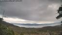 ./images/calvert/fitz-hugh-hecate/20260321/fitz-hugh-hecate20260321_120501M.jpg
