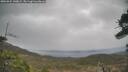 ./images/calvert/fitz-hugh-hecate/20260321/fitz-hugh-hecate20260321_140001M.jpg