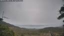 ./images/calvert/fitz-hugh-hecate/20260321/fitz-hugh-hecate20260321_142502M.jpg
