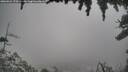 ./images/calvert/fitz-hugh-hecate/20260321/fitz-hugh-hecate20260321_170501M.jpg