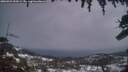 ./images/calvert/fitz-hugh-hecate/20260322/fitz-hugh-hecate20260322_200501M.jpg
