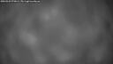 ./images/calvert/fitz-hugh-hecate/20260323/fitz-hugh-hecate20260323_070001M.jpg