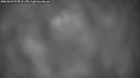 ./images/calvert/fitz-hugh-hecate/20260323/fitz-hugh-hecate20260323_070501M.jpg
