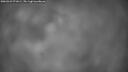 ./images/calvert/fitz-hugh-hecate/20260323/fitz-hugh-hecate20260323_071001M.jpg