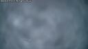 ./images/calvert/fitz-hugh-hecate/20260323/fitz-hugh-hecate20260323_071501M.jpg