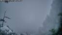 ./images/calvert/fitz-hugh-hecate/20260324/fitz-hugh-hecate20260324_200002M.jpg