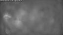 ./images/calvert/fitz-hugh-hecate/20260325/fitz-hugh-hecate20260325_070501M.jpg