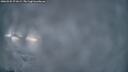 ./images/calvert/fitz-hugh-hecate/20260325/fitz-hugh-hecate20260325_071001M.jpg