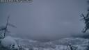 ./images/calvert/fitz-hugh-hecate/20260326/fitz-hugh-hecate20260326_070501M.jpg