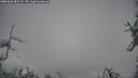 ./images/calvert/fitz-hugh-hecate/20260326/fitz-hugh-hecate20260326_081501M.jpg