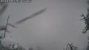 ./images/calvert/fitz-hugh-hecate/20260326/fitz-hugh-hecate20260326_103001M.jpg