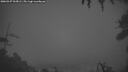 ./images/calvert/fitz-hugh-hecate/20260327/fitz-hugh-hecate20260327_065002M.jpg