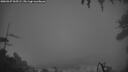 ./images/calvert/fitz-hugh-hecate/20260327/fitz-hugh-hecate20260327_065502M.jpg