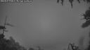 ./images/calvert/fitz-hugh-hecate/20260327/fitz-hugh-hecate20260327_070001M.jpg