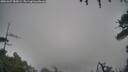 ./images/calvert/fitz-hugh-hecate/20260327/fitz-hugh-hecate20260327_085001M.jpg