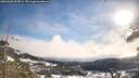 ./images/calvert/fitz-hugh-hecate/20260328/fitz-hugh-hecate20260328_095001M.jpg
