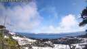 ./images/calvert/fitz-hugh-hecate/20260328/fitz-hugh-hecate20260328_114502M.jpg
