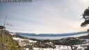 ./images/calvert/fitz-hugh-hecate/20260330/fitz-hugh-hecate20260330_113002M.jpg
