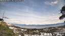 ./images/calvert/fitz-hugh-hecate/20260330/fitz-hugh-hecate20260330_143001M.jpg