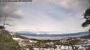 ./images/calvert/fitz-hugh-hecate/20260330/fitz-hugh-hecate20260330_161502M.jpg