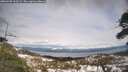 ./images/calvert/fitz-hugh-hecate/20260330/fitz-hugh-hecate20260330_163501M.jpg