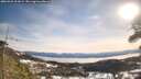 ./images/calvert/fitz-hugh-hecate/20260331/fitz-hugh-hecate20260331_101002M.jpg