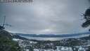 ./images/calvert/fitz-hugh-hecate/20260401/fitz-hugh-hecate20260401_070002M.jpg