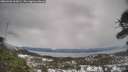 ./images/calvert/fitz-hugh-hecate/20260401/fitz-hugh-hecate20260401_102001M.jpg