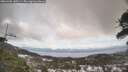 ./images/calvert/fitz-hugh-hecate/20260402/fitz-hugh-hecate20260402_140501M.jpg