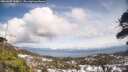 ./images/calvert/fitz-hugh-hecate/20260402/fitz-hugh-hecate20260402_144001M.jpg