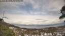 ./images/calvert/fitz-hugh-hecate/20260402/fitz-hugh-hecate20260402_163501M.jpg