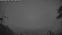 ./images/calvert/fitz-hugh-hecate/20260403/fitz-hugh-hecate20260403_063501M.jpg