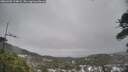 ./images/calvert/fitz-hugh-hecate/20260403/fitz-hugh-hecate20260403_124002M.jpg