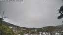 ./images/calvert/fitz-hugh-hecate/20260403/fitz-hugh-hecate20260403_125002M.jpg